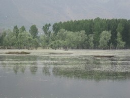 Lac de Wular 